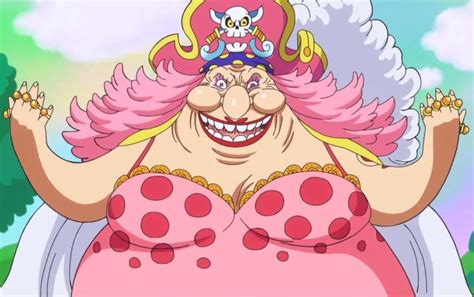 one piece fat lady|big mom skinny one piece.